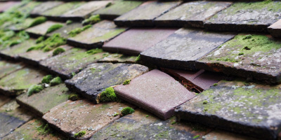 Hunts Hill roof repair costs